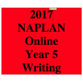 2017 Y5 Writing - Online